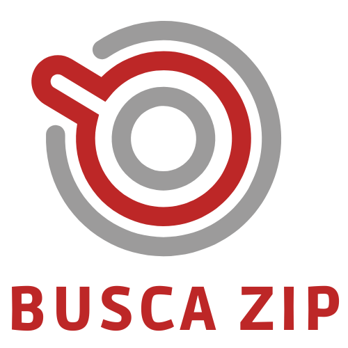 logo busca zip