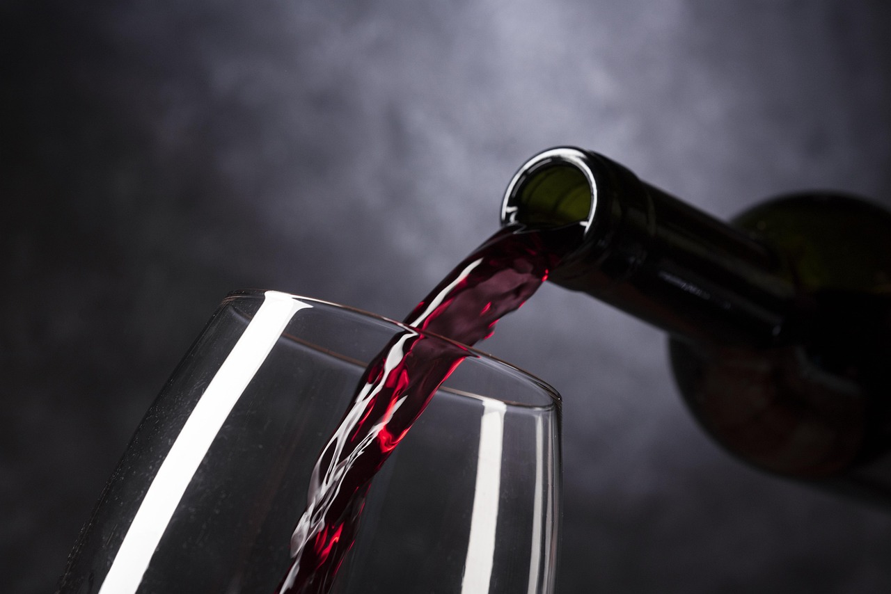 vinho taça adega climatizada temperatura ideal conservação — BuscaZip